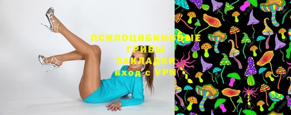 mdpv Белокуриха