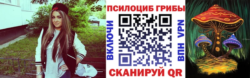 купить наркоту  Высоковск  Псилоцибиновые грибы прущие грибы 